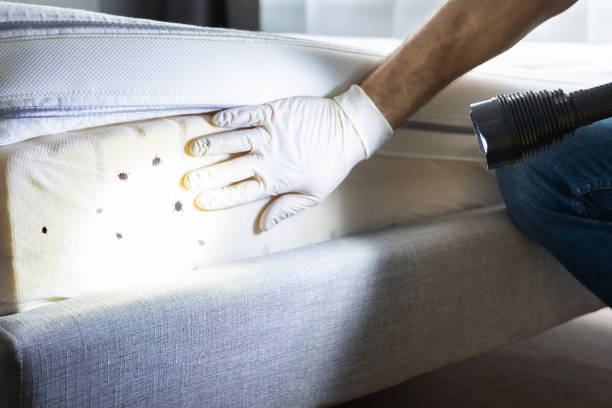 Best Wasp Removal Services  in Tresckow, PA