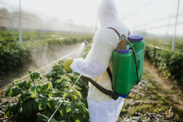 Pest Control for Restaurants in Tresckow, PA